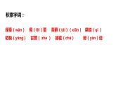 初中六年级上册语文课件---16.《夏天里的成长》