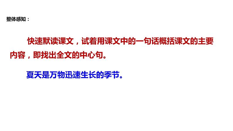 初中六年级上册语文课件---16.《夏天里的成长》04