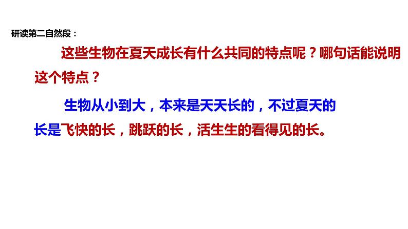 初中六年级上册语文课件---16.《夏天里的成长》07