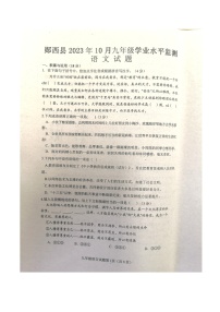湖北省十堰市郧西县2023-2024学年九年级上学期10月期中考试语文试题
