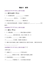 【期中真题】（上海专用）2023-2024学年九年级语文上学期期中真题分类汇编专题01 默写-试卷.zip