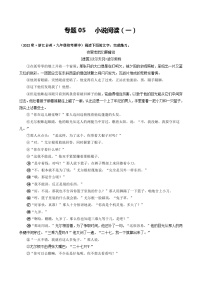 【期中真题】（浙江专用）2023-2024学年九年级语文上学期期中真题分类汇编专题05  小说阅读（一）-试卷.zip