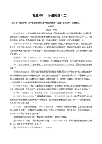 【期中真题】（浙江专用）2023-2024学年九年级语文上学期期中真题分类汇编专题06  小说阅读（二）-试卷.zip