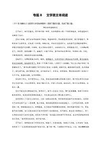 【期中真题】（湖南长沙专用）2023-2024学年九年级语文上学期期中真题分类汇编专题08  文学类文本阅读 -试卷.zip