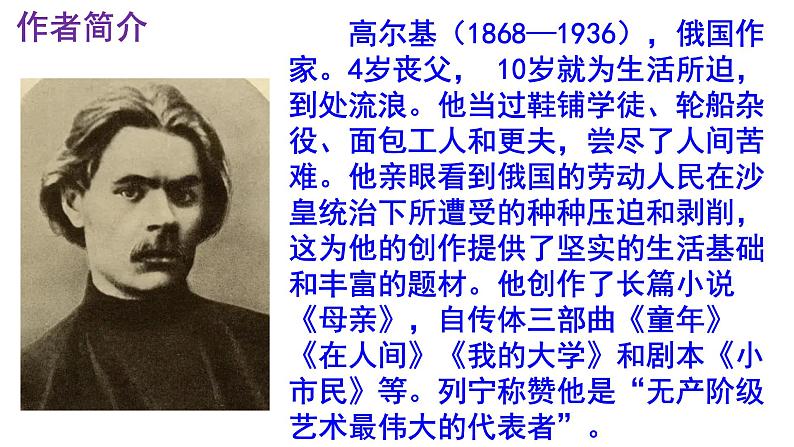 九下语文第4课《海燕》精品实用高效课件04