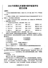 河南省南阳市社旗县2020—2021学年九年级上学期期中考试语文题