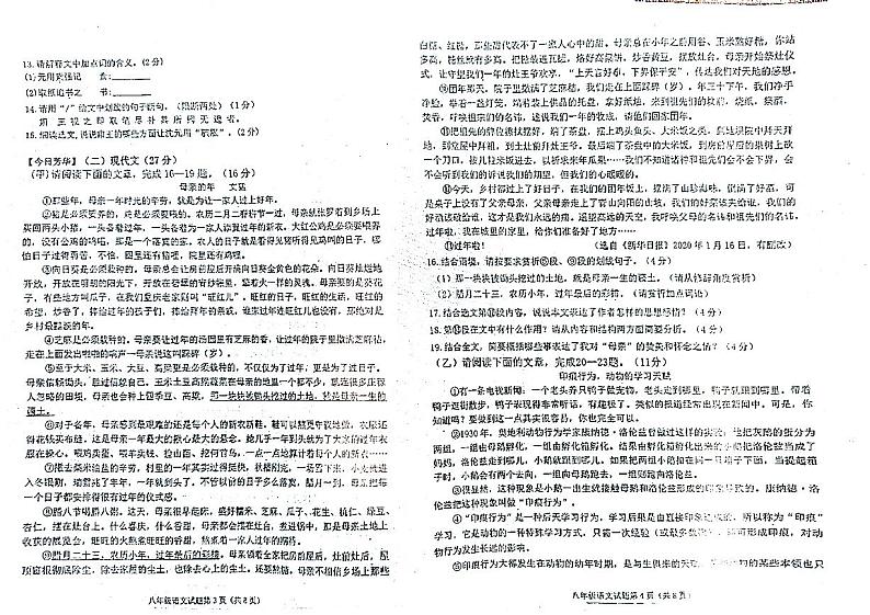 吉林省松原市乾安县2023-2024学年八年级上学期10月期中语文试题02