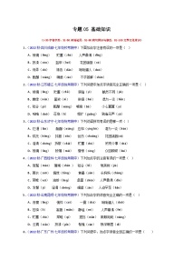 专题04 基础知识（考点清单+【考题猜想】）-2023-2024学年七年级语文上学期期中考点大串讲（统编版）