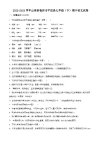 山东省临沂市平邑县2022-2023学年七年级下学期期中语文试题