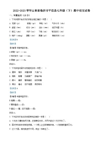 山东省临沂市平邑县2022-2023学年七年级下学期期中语文试题答案