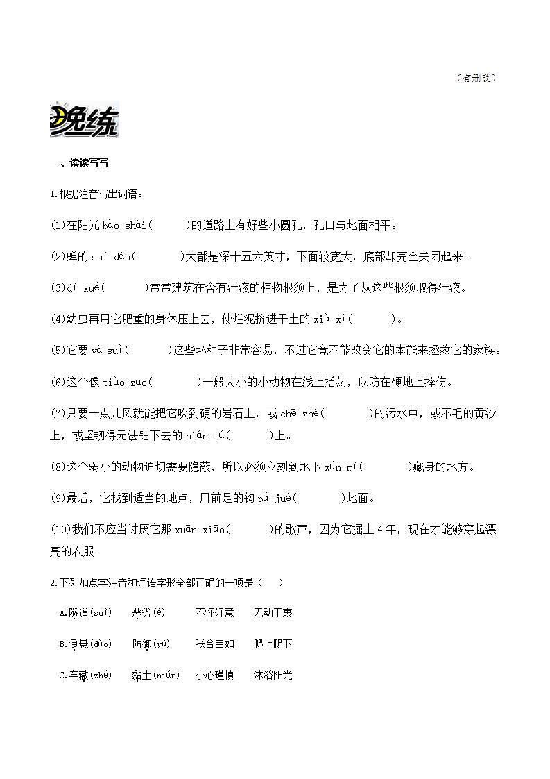 部编语文八上第21课 《 蝉》【晨读晚练】（类文阅读+同步练习）02