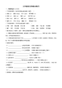 精品解析：陕西省汉中市西乡县第五中学2021-2022学年九年级上学期期末语文试题