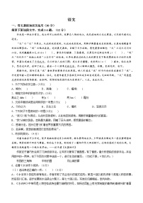 重庆市巴蜀中学校2023-2024学年九年级上学期第一次月考语文试题
