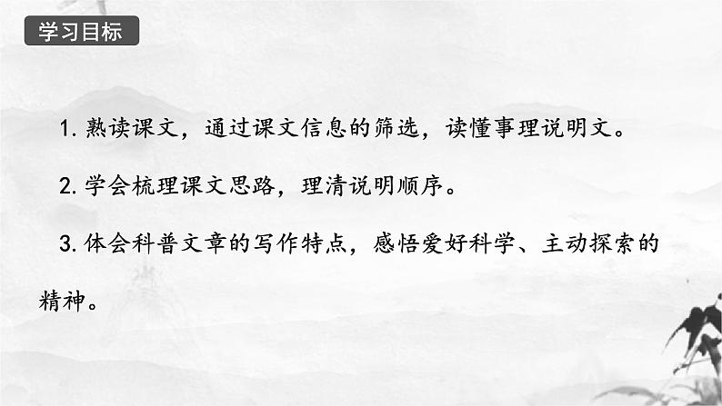 恐龙无处不有  课件02