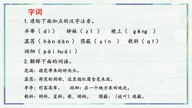 第7课《散文诗二首 荷叶·母亲》课件-2022-2023学年七年级语文上册精讲精练同步课堂（部编版）第6页