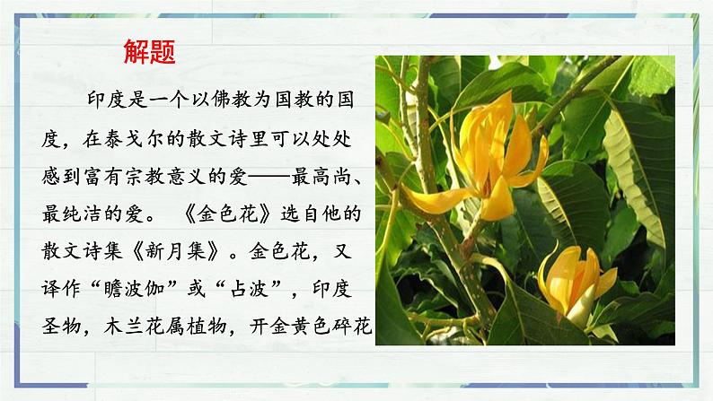 第7课《散文诗二首+金色花》课件-2022-2023学年七年级语文上册精讲精练同步课堂（部编版）第7页