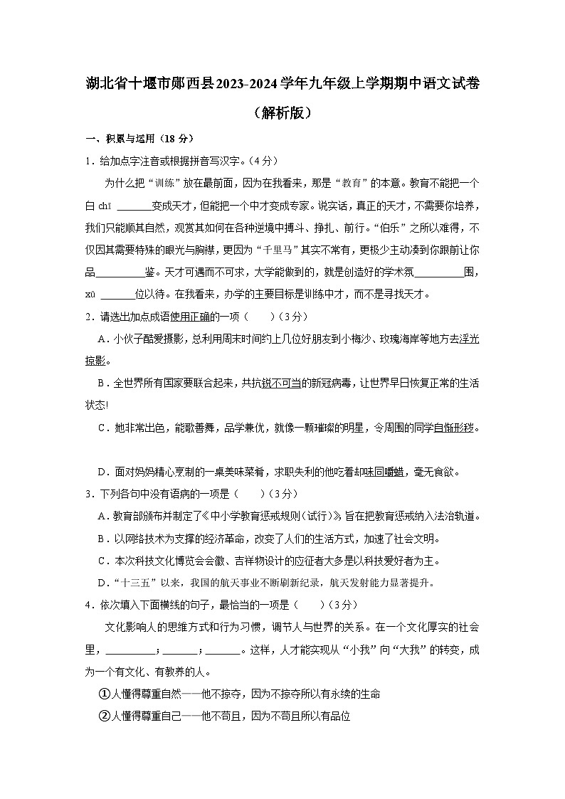 湖北省十堰市郧西县2023-2024学年九年级上学期期中语文试卷第1页