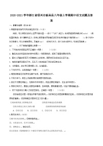 2020-2021学年浙江省绍兴市新昌县八年级上学期期中语文试题及答案