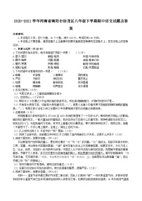 2020-2021学年河南省南阳市卧龙区八年级下学期期中语文试题及答案