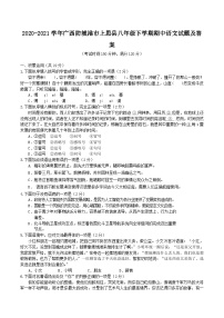 2020-2021学年广西防城港市上思县八年级下学期期中语文试题及答案