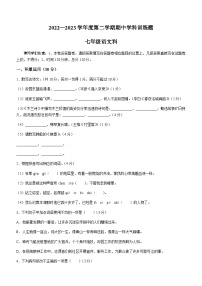 广东省揭阳市普宁市赤岗中学2022-2023学年七年级下学期期中语文试题