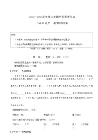 广东省深圳市宝安区振兴学校2022-2023学年七年级下学期期中练习语文试题