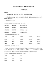 河南省濮阳市清丰县2022-2023学年七年级下学期期中语文试题