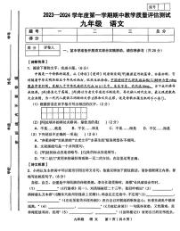 甘肃省定西市安定区临洮县两地2023-2024学年九年级上学期11月期中语文试题（含答案）