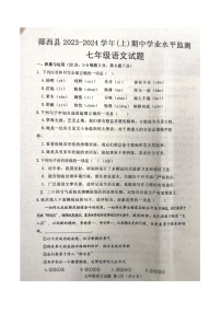 湖北省十堰市郧西县2023-2024学年七年级上学期11月期中语文试题