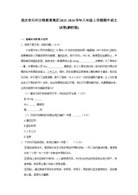 重庆市开州文峰教育集团2023-2024学年八年级上学期期中语文试卷