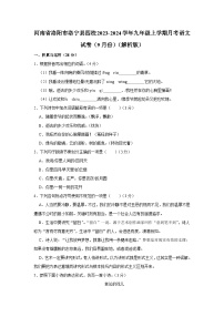 20，河南省洛阳市洛宁县四校2023-2024学年九年级上学期月考语文试卷（9月份）