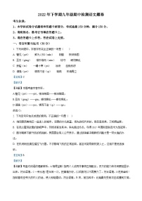 湖南省娄底市双峰县乡镇学校联考2022-2023学年九年级上学期期中语文试题（解析版）