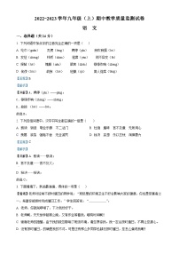 四川省绵阳市涪城区2022-2023学年九年级上学期期中语文试题（解析版）