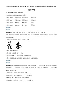黑龙江省绥化市安达市吉星岗镇第一中学2022-2023学年八年级下学期期中语文试题（解析版）