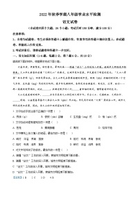 云南省文山壮族苗族自治州2022-2023学年八年级上学期期末语文试题（解析版）