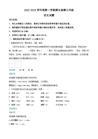 黑龙江省大庆市杜尔伯特蒙古族自治县2022-2023学年九年级上学期期末语文试题（解析版）