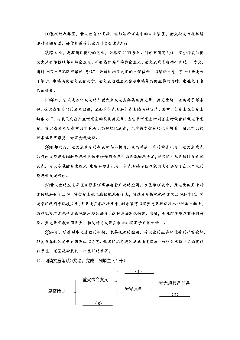 上海市普陀区2023-2024学年七年级上学期期中考试语文试卷03