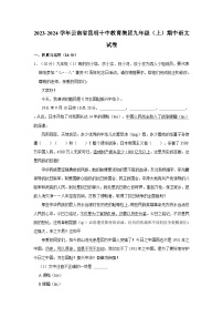 2023-2024学年云南省昆明十中教育集团九年级上学期期中语文试卷（含解析）