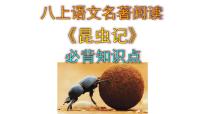 初中语文人教部编版八年级上册名著导读 《昆虫记》：科普作品的阅读教学演示ppt课件