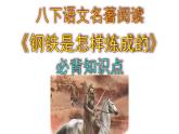八下语文名著阅读《钢铁是怎样炼成的》必背知识点课件PPT