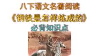 人教部编版八年级下册名著导读 《钢铁是怎样炼成的》：摘抄和做笔记图文ppt课件