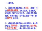 八下语文名著阅读《钢铁是怎样炼成的》必背知识点课件PPT