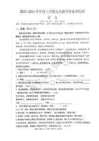 南宁十四中2023年秋语文九上段考（南宁王队长）