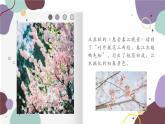 统编版语文七年级上册 1 春课件