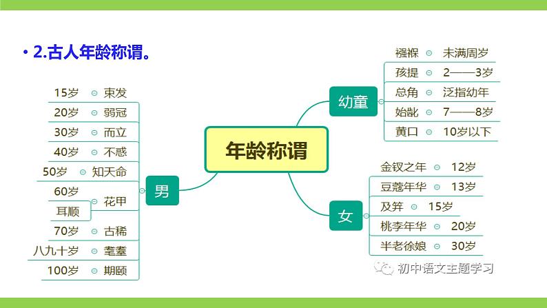 部编八年级上册语文第六单元教材知识点考点梳理（课件+教案+验收卷）07