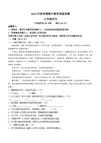 广西贵港市桂平市2023-2024学年九年级上学期期中语文试题
