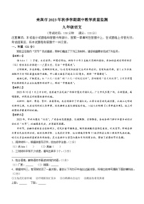 广西壮族自治区来宾市2023-2024学年九年级上学期期中语文试题