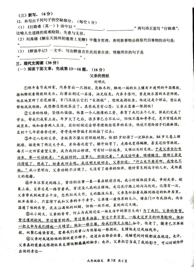 江西省赣州市崇义县2023-2024学年九年级上学期11月期中语文试题03