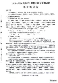 河南省信阳市罗山县2023-2024学年九年级上学期11月期中语文试题