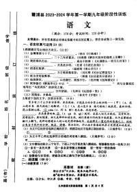 福建省宁德市霞浦县2023-2024学年九年级上学期11月期中语文试题